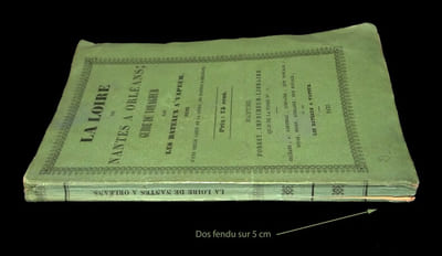 LA LOIRE DE NANTES À ORLÉANS - GUIDE DU VOYAGEUR
PAR LES BATEAUX À VAPEUR.