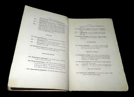 CATALOGUE DES PLANTES VASCULAIRES du Département d'INDRE-ET-LOIRE.. DELAUNAY Jules. Préface de l'abbé J. Coqueray.