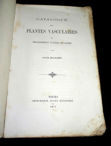 CATALOGUE DES PLANTES VASCULAIRES du Département d'INDRE-ET-LOIRE.