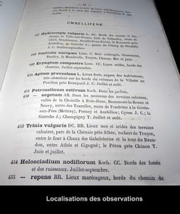 CATALOGUE DES PLANTES VASCULAIRES du Département d'INDRE-ET-LOIRE.