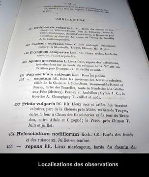 CATALOGUE DES PLANTES VASCULAIRES du Département d'INDRE-ET-LOIRE.. DELAUNAY Jules. Préface de l'abbé J. Coqueray.
