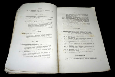 CATALOGUE DES PLANTES VASCULAIRES du Département d'INDRE-ET-LOIRE.. DELAUNAY Jules. Préface de l'abbé J. Coqueray.