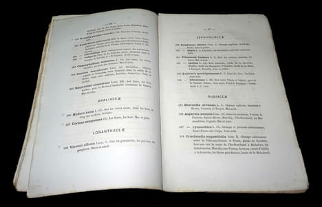 CATALOGUE DES PLANTES VASCULAIRES du Département d'INDRE-ET-LOIRE.. DELAUNAY Jules. Préface de l'abbé J. Coqueray.