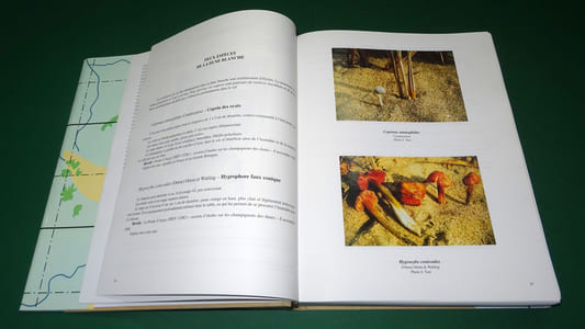 ATLAS DES CHAMPIGNONS DE VENDÉE.