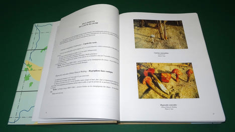 ATLAS DES CHAMPIGNONS DE VENDÉE.. PACAUD R. -Société Mycologique de La Roche-sur-Yon