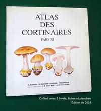 ATLAS DES CORTINAIRES Pars XI seul
Pars XI(1) :
SOUS-GENRE HYDROCYBE (Fr.) Trog.
SECTION HYDROCYBE Moser& Horak.
Pars XI (2) :
SOUS-GENRE PHLEGMACIUM (Fr.) Trog.
SECTION CALOCHROI Moser & Horak.