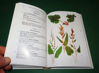 Guide des TEINTURES NATURELLES
Plantes, Lichens, Champignons, Mollusques et Insectes