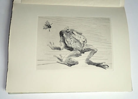 NOTES D'UN BIOLOGISTE.. ROSTAND Jean. Avant-propos de Raymond QUENEAU. Gravures au burin par Albert FLOCON.