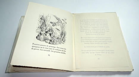 NOTES D'UN BIOLOGISTE.. ROSTAND Jean. Avant-propos de Raymond QUENEAU. Gravures au burin par Albert FLOCON.