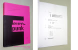 EUROPUNK
Une r&eacute;volution artistique en Europe, 1976-1980.. CHASSEY &Eacute;ric de (sous la direction de).