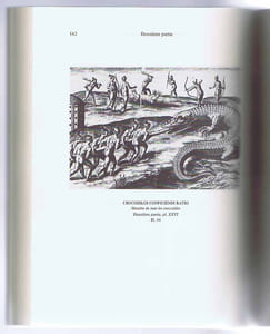 L'AMÉRIQUE DE THÉODORE DE BRY. Une collection de voyages protestante du XVIe siècle. Quatre études d'iconographie.