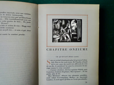 Ariel ou la vie de Shelley.