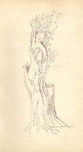 Poésies.