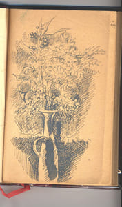 Les migrations animales. Préface de Lucien CUENOT.