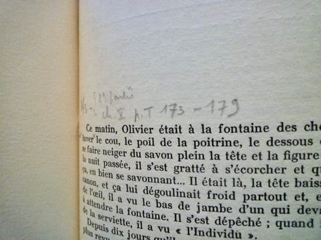 Chapitres inédits du Grand Troupeau.. Jean GIONO