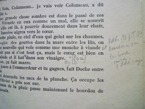 Chapitres inédits du Grand Troupeau.. Jean GIONO