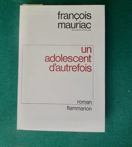 Un adolescent d'autrefois