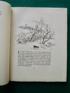 Le chemin des chèvres