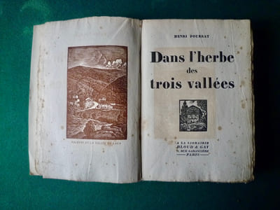 Dans l'herbe des trois vallées