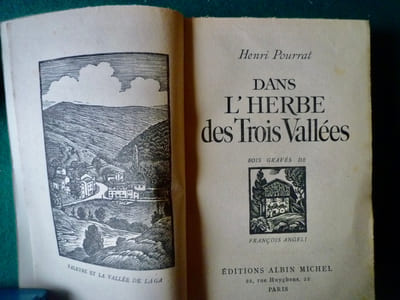 Dans l'herbe des trois vallées.