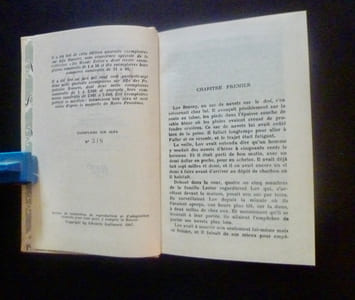 La Route au tabac
Traduit par Maurice E. Coindreau