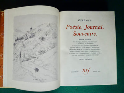 Poésie, Journal, Souvenirs