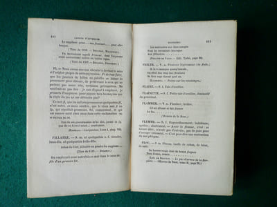 Souvenirs de la langue de l'Auvergne.
Essai sur les idiotismes du département du Puy-de-Dôme.