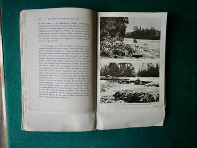 Un homme et de bêtes.
Pilgrims of the wild traduit par Jeanne Roche-Mazon