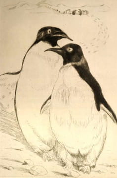 L'île des pingouins. Illustré par Louis Jou. . FRANCE (Anatole).