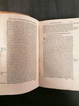In Posterior. Partem sermonum quadragesimalium Alberti Patavini, nempè à Dominica in Passione, usque ad Dominicam de Quasimodo, rerum maximè insignium ...