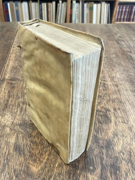 In Posterior. Partem sermonum quadragesimalium Alberti Patavini, nempè à Dominica in Passione, usque ad Dominicam de Quasimodo, rerum maximè insignium ...