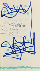 Théâtre XV. Les délices de la chair, suivi de La ville dont le prince était une princesse.