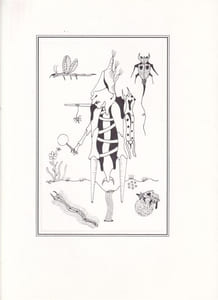 Rêves d'insectes.
