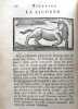 Histoire des animaux. Précédée d'un précis de l'histoire naturelle de l'homme.. ANONYME].
