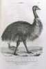 Acclimatation et domestication des animaux utiles.. GEOFFROY SAINT-HILAIRE (Isidore).