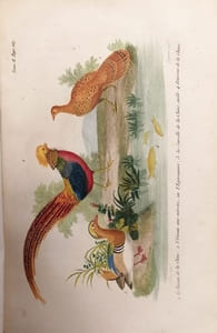 Lettres à Sophie sur la physique, la chimie, et l'histoire naturelle, avec des notes par M. Patrin, de l'Institut.