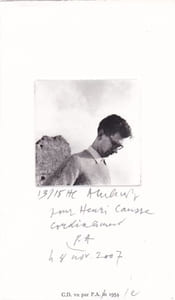 L'Arbre et l'Arme et autres textes sur Pierre Alechinsky.