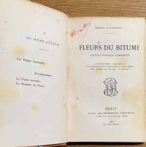 Fleurs du bitume. Petits poëmes parisiens.