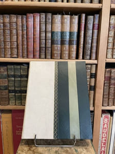 Hypothèses sur les amateurs de peinture à l'état latent. Un postulat et 16 lithographies en corollaire.