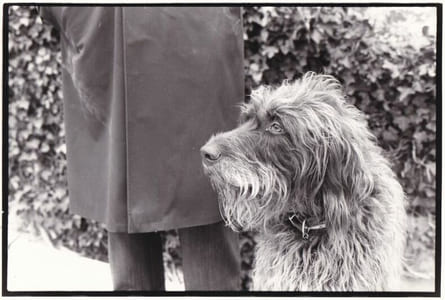 Une humeur de Chien ! Dossier sur la cause canine comprenant de nombreuses lettres de soutien d'écrivains et de lecteurs, des documents d'archives, circulaires ministérielles et coupures de presse, ainsi que des photographies originales de Jacques Brenner avec ses chiens successifs.