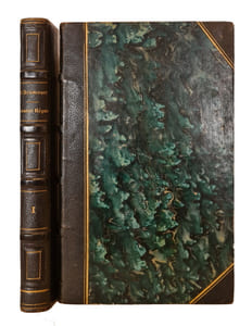Double règne. Chronique du treizième siècle.