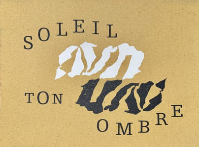 Désinences ocres [par Georges Badin]. Soleil ton ombre [par Martine Saillard].