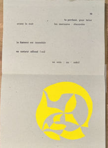 Désinences ocres [par Georges Badin]. Soleil ton ombre [par Martine Saillard].