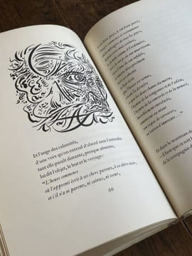 Le Serpent dans la galère. Illustrations d'André Masson. . DUTHUIT (Georges).