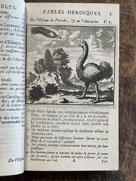 Fables héroïques où sont renfermées les plus importantes maximes de la Politique & de la Morale ; avec des discours historiques sur chaque fable ; ...