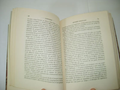 Savonarole.