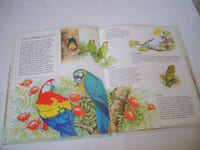Les oiseaux. Pour les faire connaître aux enfants de 5 à 8 ans.