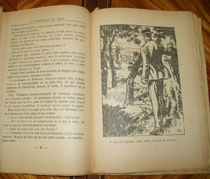 Le Monsieur en gris.. L'ERMITE (Pierre)