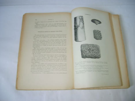 Traité pratique de géologie (d'après James GEIKIE Structural and Field Geology).. LEMOINE (Paul)