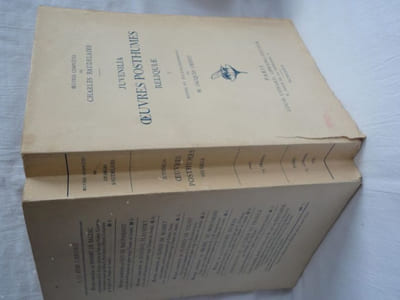 Juvenilia - Oeuvres posthumes - Reliquiae. Tome 1 seul.